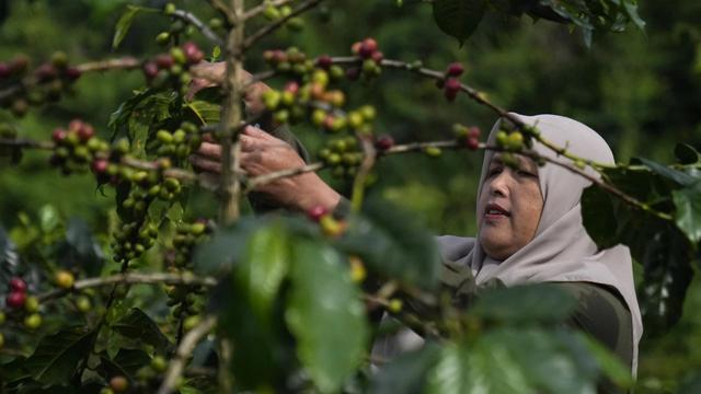 Sumini, ketua kelompok penjaga hutan