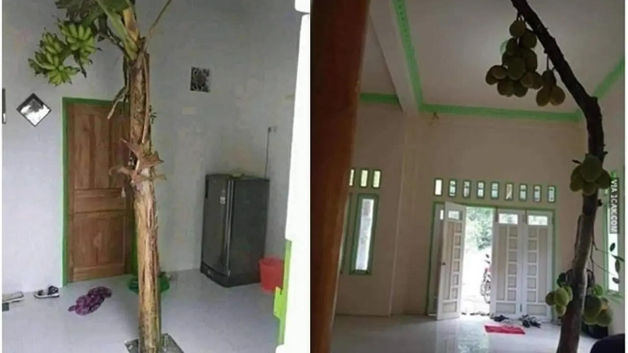 6 Potret Tanaman Tumbuh di Tempat Tak Biasa Ini Nyeleneh Banget