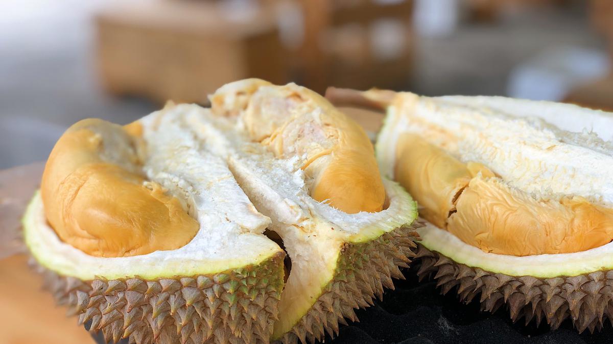 Musim Durian, Bolehkah Anak Ikut Melahap si Raja Buah? Ini Kata Pakar