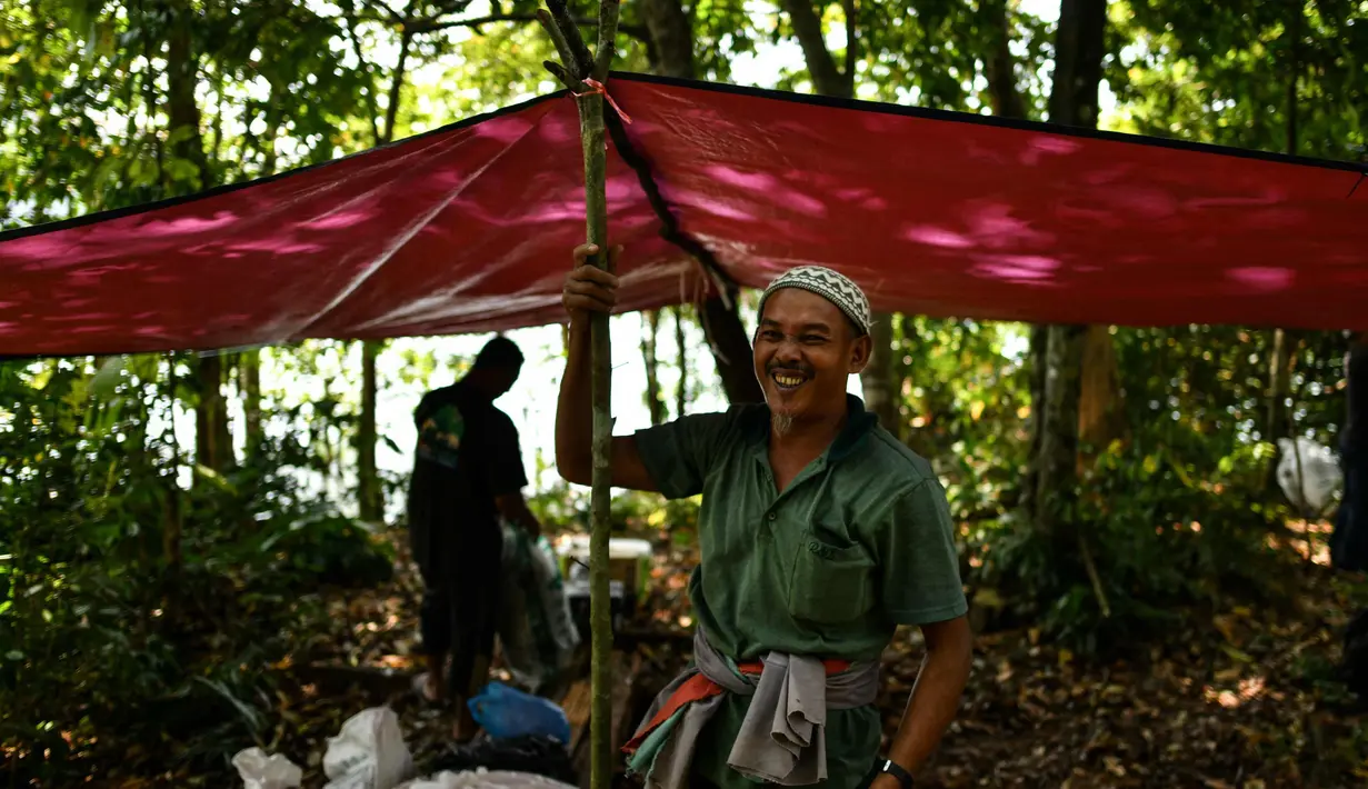 Pemburu madu Malaysia tradisional Zaini Abdul Hamid tersenyum setelah mendirikan tenda untuk mencari sarang lebah di atas pohon raksasa Tualang di hutan Ulu Muda di Sik, Malaysia, (12/3). (AFP Photo/Manan Vatsyayana)
