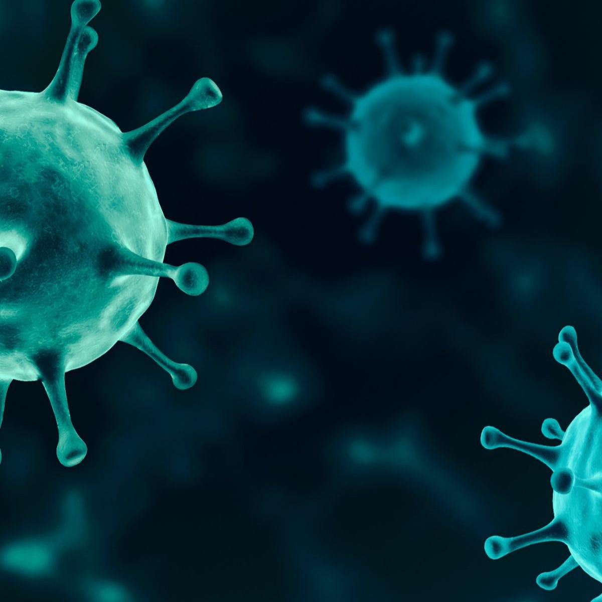 Israel Diserang Virus Mematikan, 100 Orang Terinfeksi