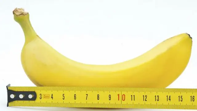 Ilustrasi Penis