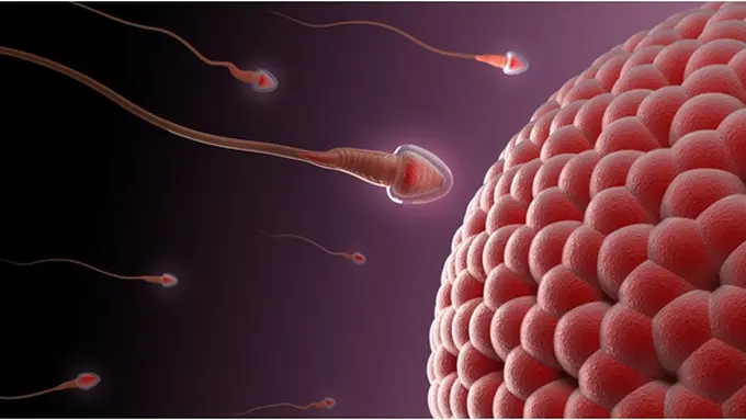 Foto: copyright shutterstock.com