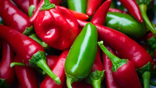 ilustrasi jalapeno (sumber: pixabay)
