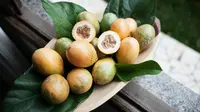 7 Jenis Pohon Buah yang Tidak Ada Ulatnya, Aman Ditanam di Rumah