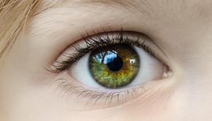 Ilustrasi Fungsi Retina Pada Mata Credit: pexels.com/skitterphoto