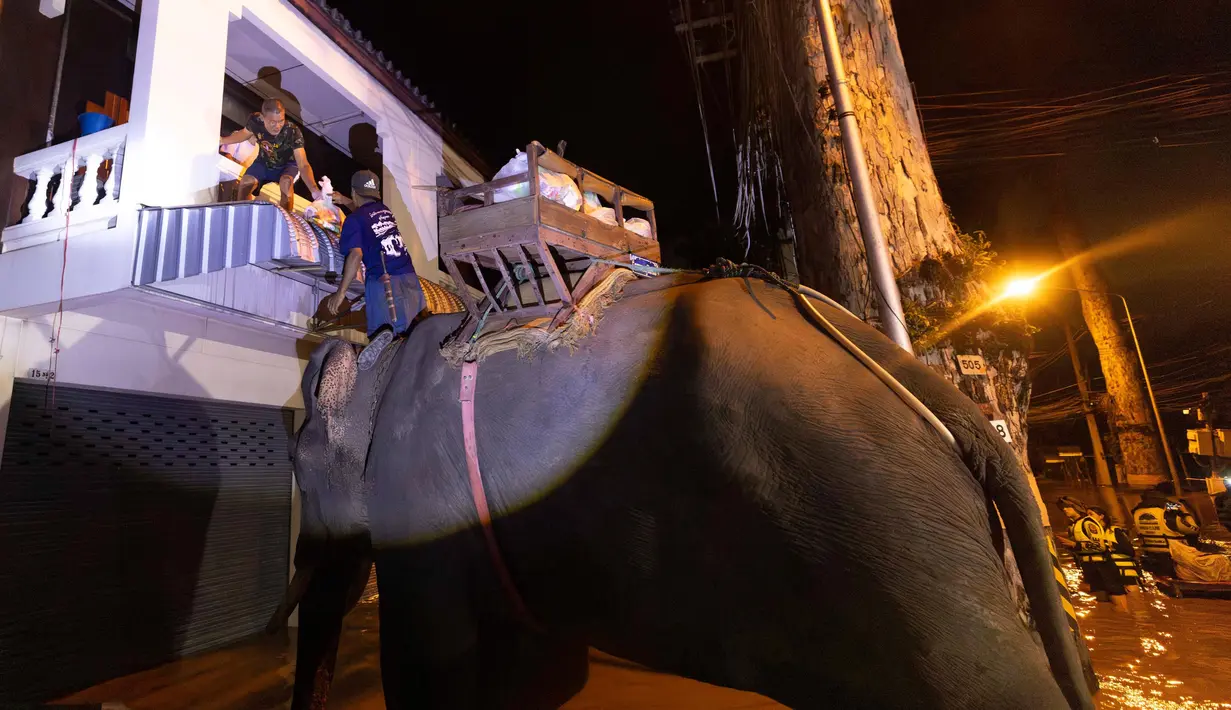 Seekor gajah menyeberangi banjir untuk membantu membawa pasokan bantuan kepada penduduk desa di Provinsi Chiang Mai, Thailand, Minggu, 6 Oktober 2024. (AP Photo/Wason Wanichakorn)