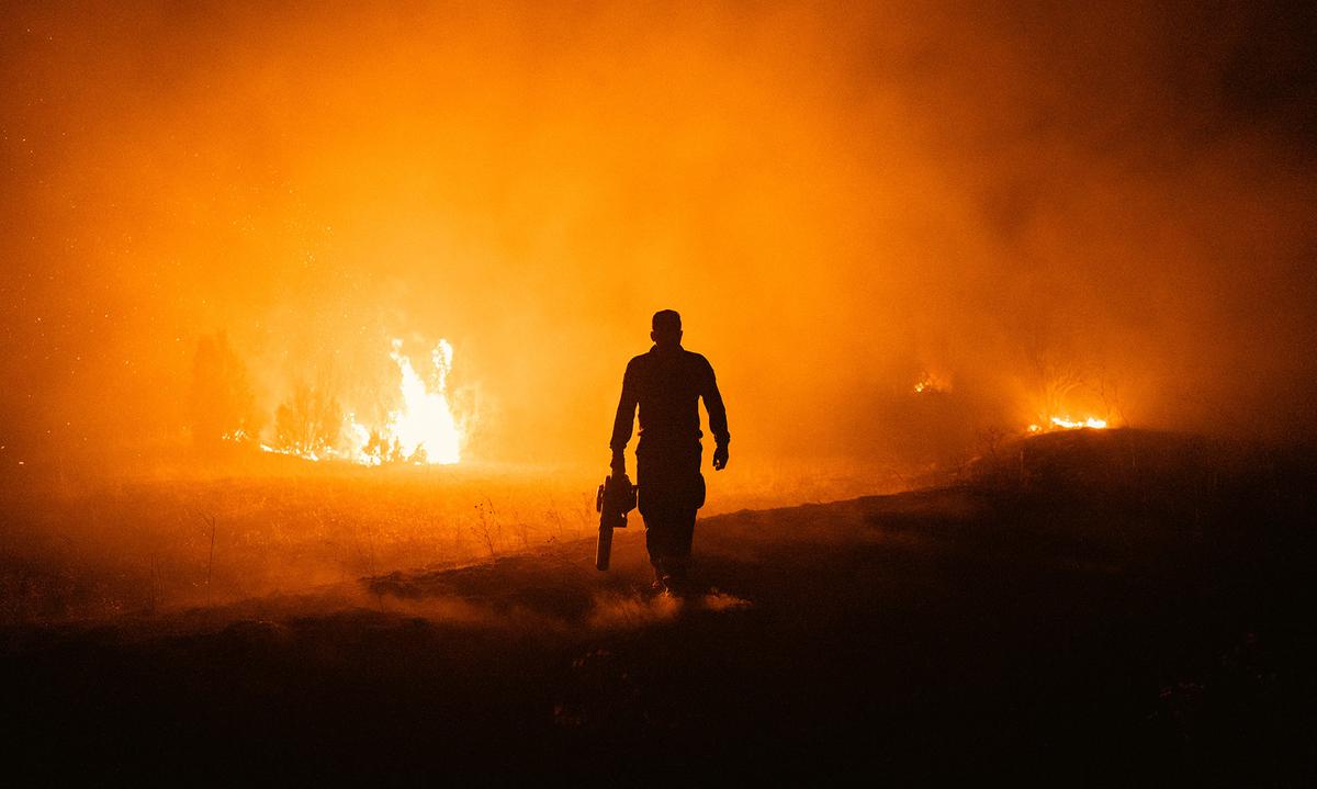 Gelombang Panas Eropa Picu Kebakaran Hutan di Serbia