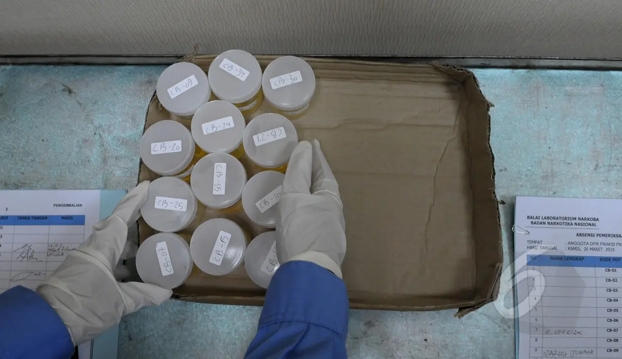 Petugas BNN merapihkan urine anggota fraksi PKS untuk dites di Komplek Parlemen Senayan, Jakarta, Kamis (26/3/2015). F-PKS di DPR bekerja sama dengan BNN menggelar tes urine bagi semua anggota DPR fraksi PKS.  (Liputan6.com/Andrian M Tunay)