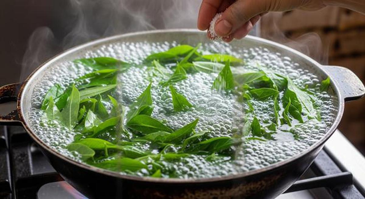 7 Trik Masak Daun Singkong agar Tetap Hijau Saat Direbus, Tidak Hitam dan Tetap Lezat