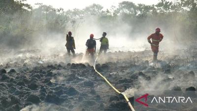 Dishut Kaltim Perkuat Pengamanan Hutan Libatkan Masyarakat, Atasi Deforestasi dan Karhutla