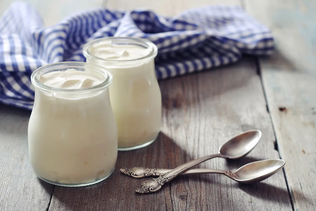 Ilustrasi yogurt