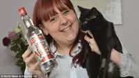Kucing milik Sara sembuh karena diberikan vodka selama dua hari