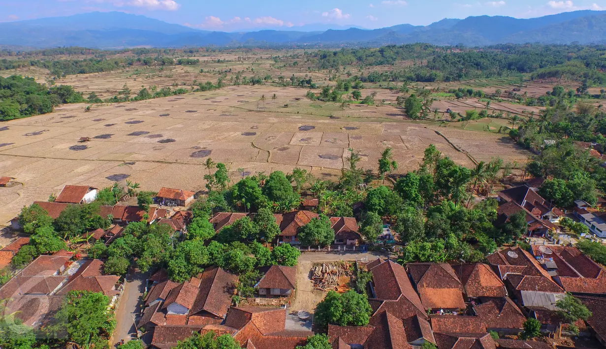Warga membongkar sendiri rumah yang akan terkena dampak penggenangan Waduk Jatigede di Desa Cipaku, Sumedang, Jawa Barat, Senin (31/8/2015). Beberapa warga masih ada yang bertahan karena belum tuntasnya soal ganti rugi. (Liputan6.com/Faizal Fanani)