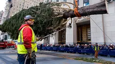 Pekerja bersiap memasang pohon Natal di Rockefeller Center, New York pada 9 November 2019. Pohon cemara Norwegia untuk menyambut Natal 2019 tersebut memiliki tinggi 77 kaki atau 12 meter dengan berat 77 ton yang akan dinyalakan pada 4 Desember mendatang. (AP Photo/Craig Ruttle)