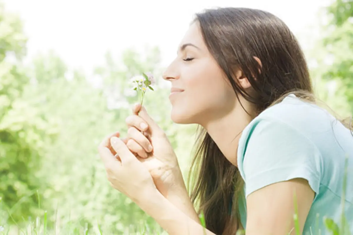 Foto: shutterstock