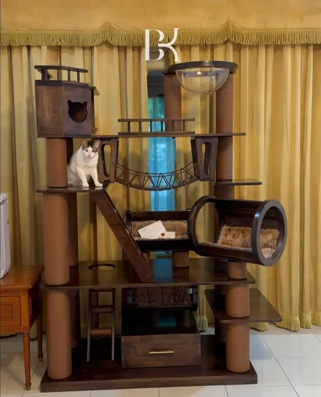 Dapat hadiah dari Dubes China, ini 7 potret rumah mewah Bobby Kertanegara kucing Presiden Prabowo