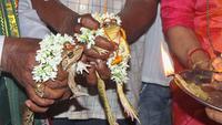 Resident Held 'Frog Wedding,' Pray for Rain Amid Heatwave