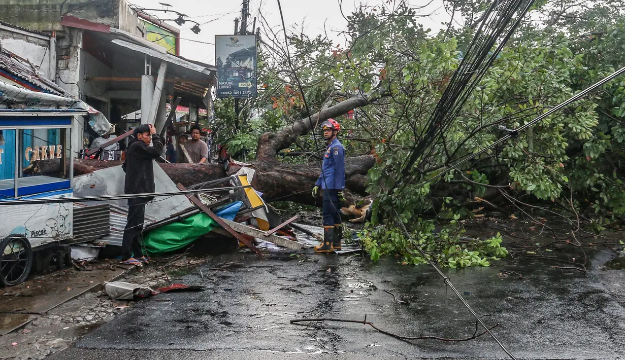 Sebuah pohon tumbang saat hujan angin melanda Kota Depok pada Rabu (25/6/2025) sore. (merdeka.com/Arie Basuki)