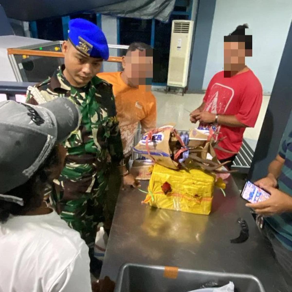 TNI AL gagalkan penyelundupan hewan dilindungi