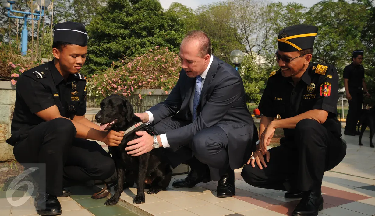 Menteri Imigrasi Australia, Peter Dutton (tengah) melihat langsung kondisi anjing pelacak satuan K-9 Dirjen Bea Cukai Jakarta, Kamis (19/11/2015). Kunjungan ini untuk mempererat hubungan pemberantasan peredaran narkoba. (Liputan6.com/Helmi Fithriansyah)