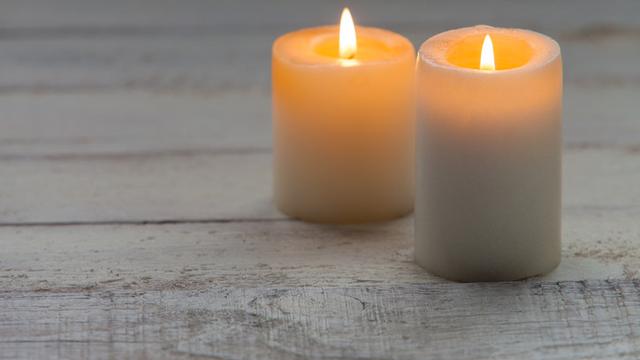 Cara mencegah lalat hinggap di makanan