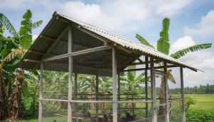 Model Kandang Ayam Atap Pelana Sederhana. Foto: Gemini