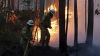 Korban Tewas Kebakaran Hutan Portugal Capai 43 Orang