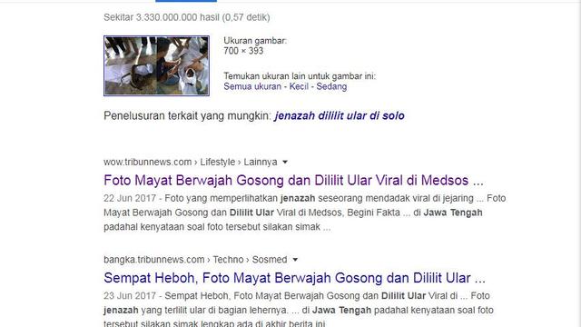 Gambar Tangkapan Layar Penelusuran Foto dengan Google Images
