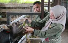 Kementan Perkuat Pengendalian Penyakit Hewan Ternak Jelang Ramadhan dan Idul Fitri 1447 H