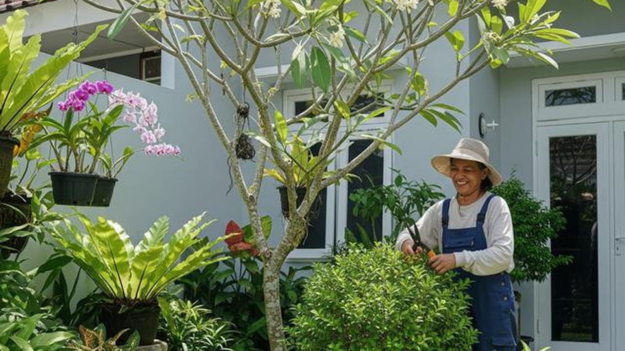 9 Usaha Kebun Setelah Pensiun agar Tetap Produktif, Raih Cuan di Masa Senja