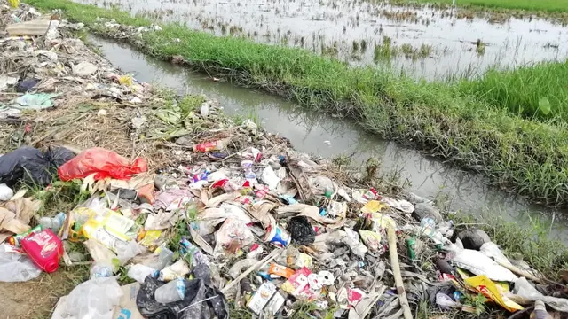 Puluhan Hektar Sawah di Gorontalo Terendam Banjir