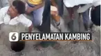 Seorang pria diberi tugas untuk masuk mengambil kambing di sebuah lubang.