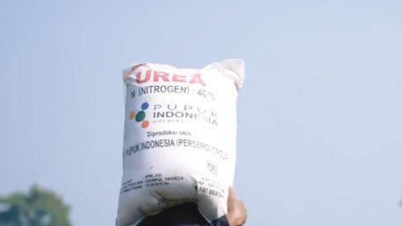 Pupuk Subsidi