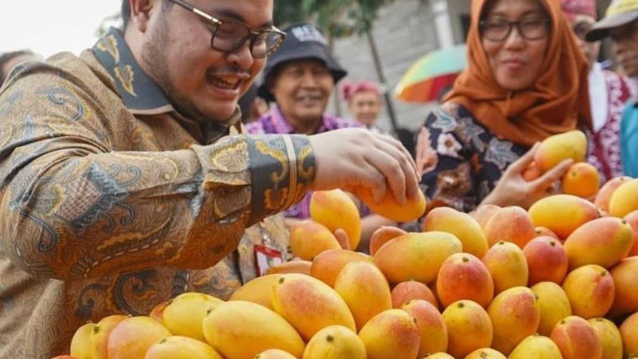 Mangga Ini Terkenal Masam tapi saat Ditanam di Kediri Rasanya Jadi Manis, Peminatnya Membeludak hingga Singapura