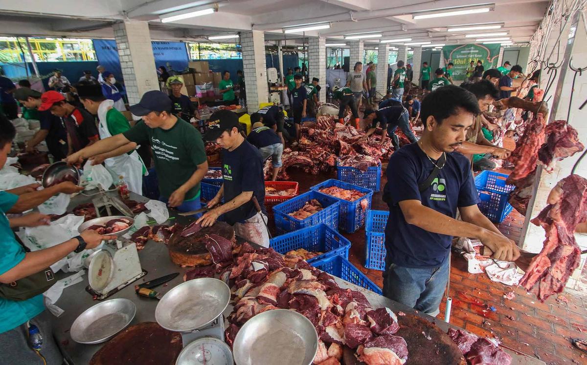 FOTO: Daging Sapi Kurban Prabowo dan Gibran di  Mesjid Istiqlal Akan Dimasak dan  Dibagikan Kepada Anak-Anak Yatim