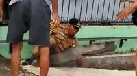 lurah di medan didorong warga sampai jatuh ke parit (Liputan6.com/istimewa)