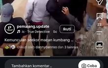 Bikin Warga Geger, Macan Kumbang Masuk Rumah Mangsa Ayam dan Marmut