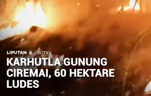 Kebakaran Gunung Ciremai Meluas, 60 Hektare Lahan Hangus