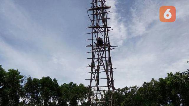 Respon Pemerintah Dan Operator