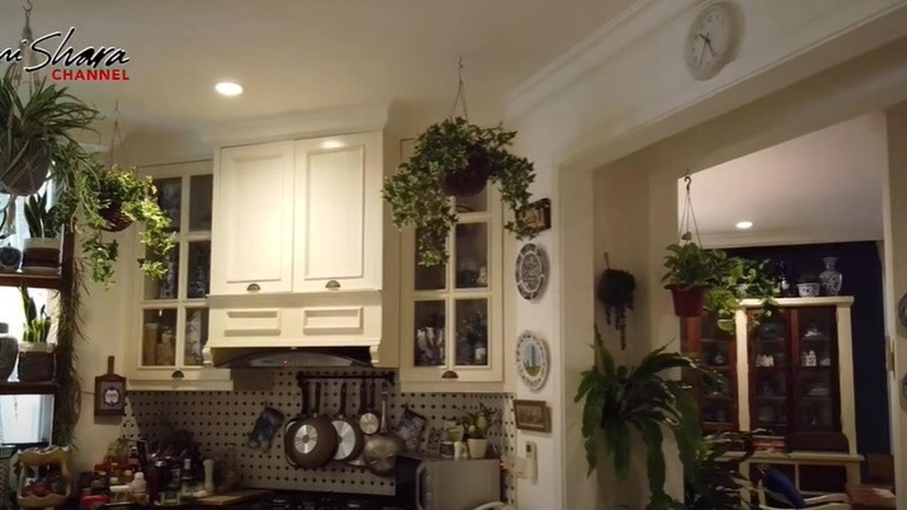 Bertema Jungle House, 8 Potret Dapur Yuni Shara yang Vintage dengan Banyak Tanaman dan Keramik