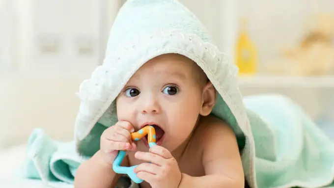 Foto Copyright thinkstockphotos.com