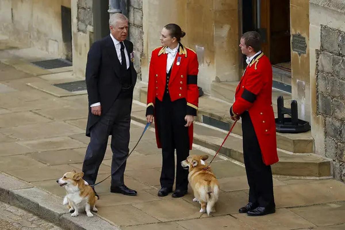 Terlilit Skandal, Pangeran Andrew Tanggalkan Gelar Kebangsawanan Duke of York