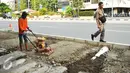 Pekerja menyelesaikan pembangunan trotoar di jalan Suryopranoto, Jakarta, Selasa (2/8). Pemprov DKI telah melakukan perbaikan dan pembangunan trotoar untuk kenyamanan pejalan kaki di 48 lokasi. (Liputan6.com/Gempur M Surya) 