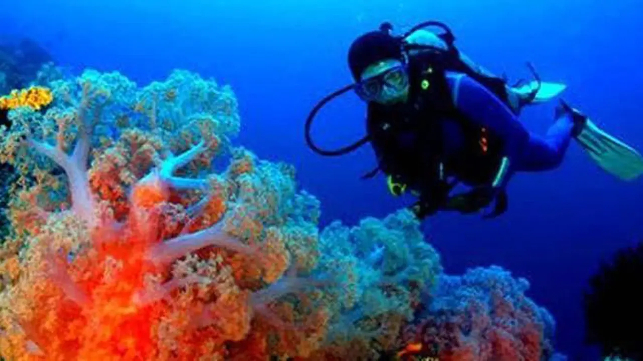 Riyanni Djangkaru, Endorser Dive Site Indonesia di Dive Magazine