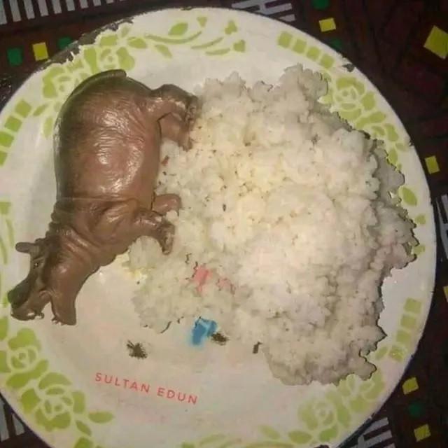 6 Menu Makan Pakai Lauk Mainan Bentuk Hewan Ini Bikin Elus Dada