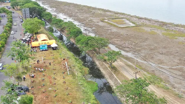 Meredam Efek Bencana Alam Lewat Menanam Pohon, dari Aceh hingga Bekasi