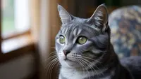 Apakah Kucing Bisa Menangis? Ini Penjelasan Ilmiah dan Faktanya