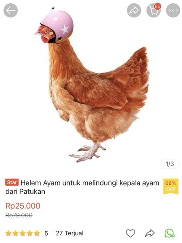 6 Helm untuk Ayam Ini Anti-mainstream, Bikin Ngakak