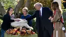 Melania Trump menyaksikan saat Presiden AS Donald Trump mengampuni kalkun "Peas" dalam upacara perayaan Thanksgiving di Gedung Putih, Selasa (20/11). Tradisi pengampunan kalkun di Gedung Putih dimulai oleh Presiden George HW Bush. (Brendan Smialowski/AFP)